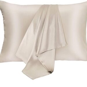 2 Pack 100% Mulberry Silk Pillowcases