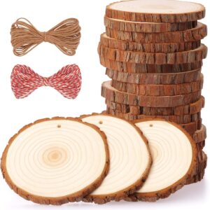 Natural Wood Slices 20 Pcs 3.5-4 Inches Craft Wood Kit