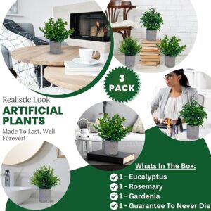 Small Artificial Plants 3 Pack Eucalyptus
